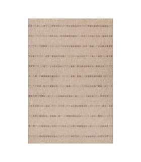 Esikuvaip DAWN FOAM-4, 80x300cm