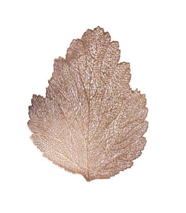 Lauamatt BIG LEAF, 36x45cm, roosa kuld