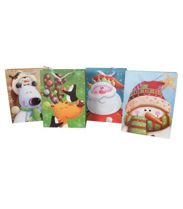 Kinkekott JOLLY-2, 30x40x12cm, mix