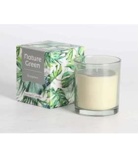 Küünal NATURE GREEN H9,5cm, Evergreen