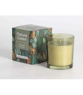 Lõhnaküünal klaasis NATURE GREEN H9,5cm, Tranquil Summer