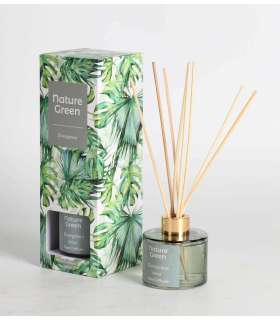 Kodulõhnastaja NATURE GREEN 100ml, Evergreen