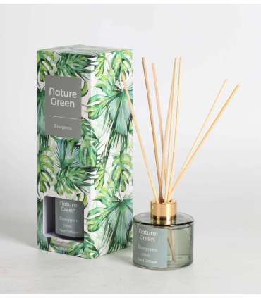 Kodulõhnastaja NATURE GREEN 100ml, Everg