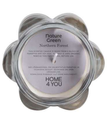 Lõhnaküünal klaasis NATURE GREEN H9,2cm, Northern Forest