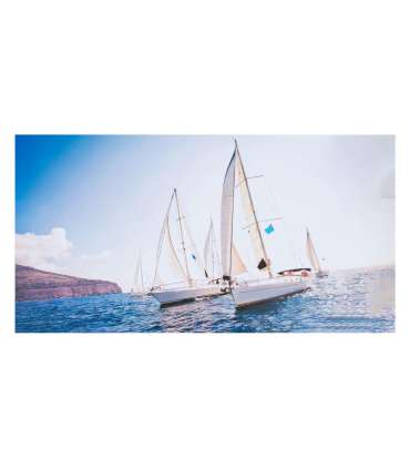 Seinapilt PICTURE LAND 20x40cm, trükitud, mix