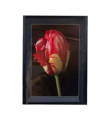 Seinapilt PICTURE LAND 50x70cm, tulp