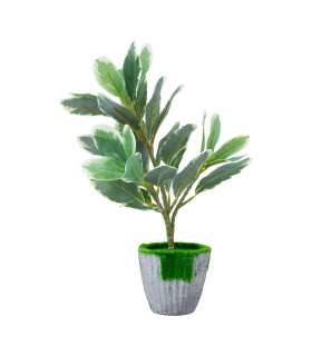 Kunsttaim GREENLAND H27cm, valge servaga