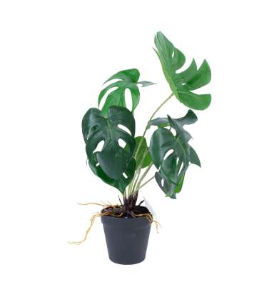 Kunsttaim GREENLAND H40cm, "Monstera"