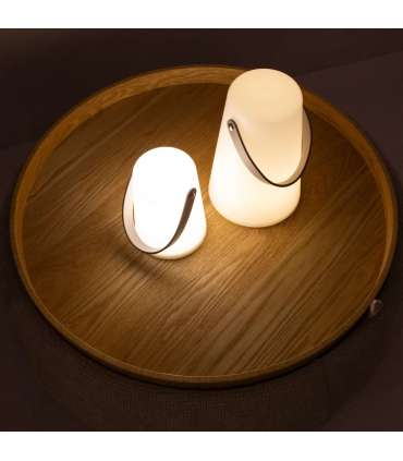 LED-latern WINGS DORIS H14cm taimer 6h