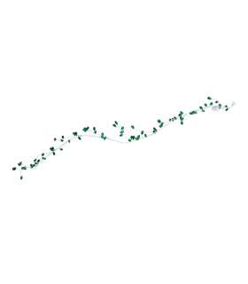 LED-vanik SHINE 1m, rohelised pärlid