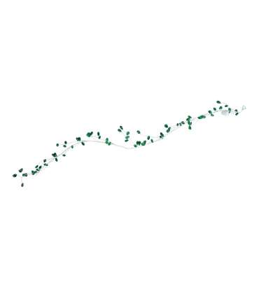 LED-vanik SHINE 1m, rohelised pärlid