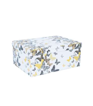 Pappkarp DIANA-5 kaanega 29x22xH12,5cm, 