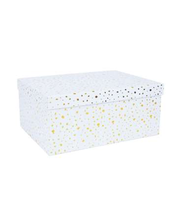 Pappkarp DIANA-4 kaanega 31x23xH14cm, valge kuldsete täppidega