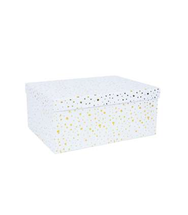 Pappkarp DIANA-9 kaanega 21x15xH9cm, valge kuldsete täppidega