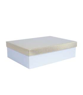 Box ELSA 35x25x10cm, with a lid kuld/hõbe, white