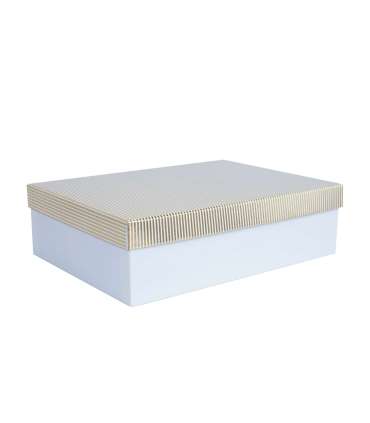 Box ELSA 35x25x10cm, with a lid kuld/hõbe, white