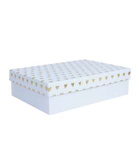 Box ELSA 29x21x8cm, with a lid kuld/hõbe, white