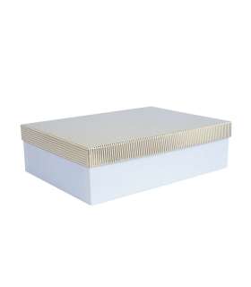 Box ELSA 24,5x17,5x7cm, with a lid kuld/hõbe, white