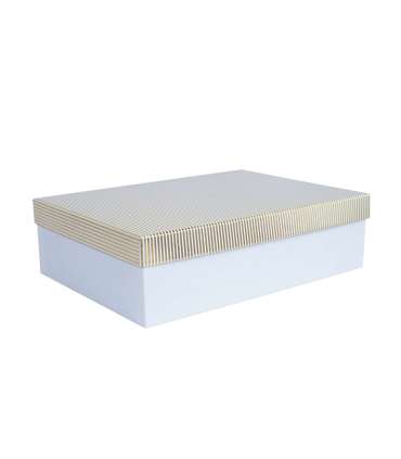 Box ELSA 24,5x17,5x7cm, with a lid kuld/hõbe, white