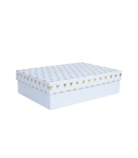 Box ELSA 19x13,5x6cm, with a lid kuld/hõbe, white