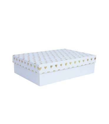 Box ELSA 19x13,5x6cm, with a lid kuld/hõbe, white