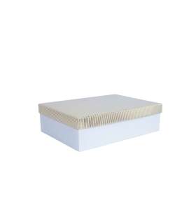 Box ELSA 14,5x10x5cm, with a lid kuld/hõbe, white