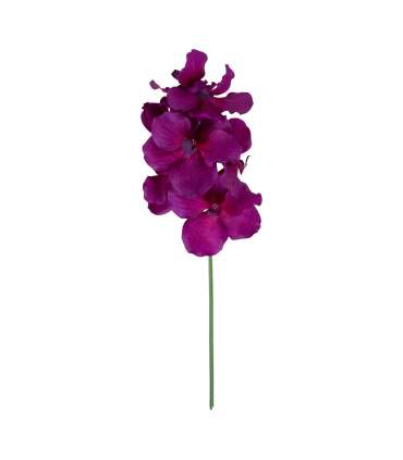 Orhidee FLOWERLY H60cm, mix