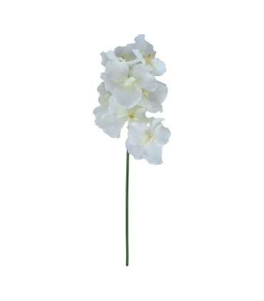 Orhidee FLOWERLY H60cm, mix