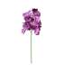 Orhidee FLOWERLY H60cm, mix