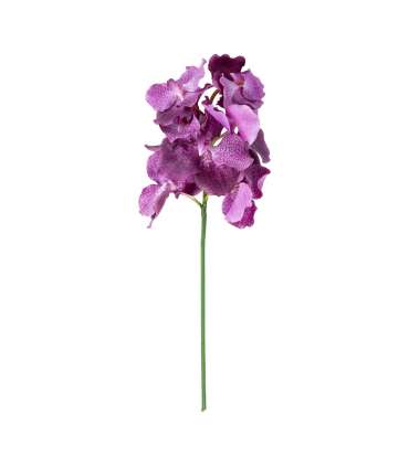 Orhidee FLOWERLY H60cm, mix
