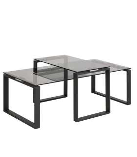 Diivanilauad 2tk KATRINE 115x55xH37,5cm, 69x40xH45cm, suitsuhall, materjal: klaas, metall