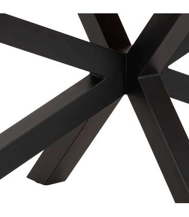 Söögilaud HEAVEN 220x100xH75,5cm, naturaalne