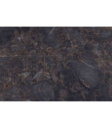 Diivanilaud VEGA 140x70xH42cm, pruun