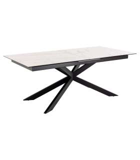 Söögilaud IRWINE 200/240x100xH76cm, valg