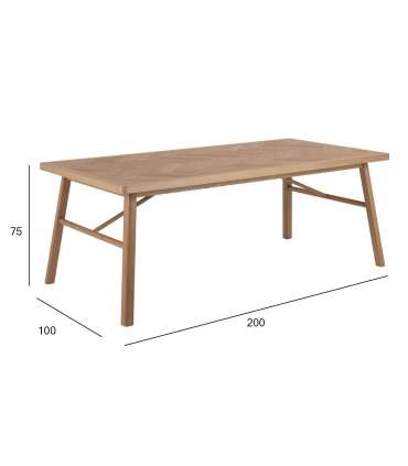 Söögilaud GALWAY 200x100xH75cm, naturaal