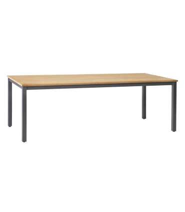 Комплект садовой мебели MONTANA стол и 8 стульев (13269) из тикового дерева, нержавеющая сталь, порошковое покрытие