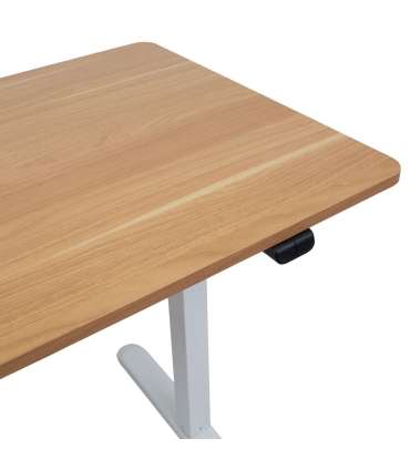 Töölaud ERGO LIGHT 1-mootoriga 120x60xH7