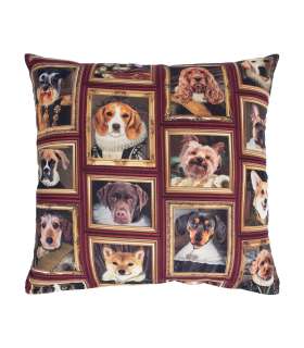 Padi HOLLY 45x45cm, koerad raamis