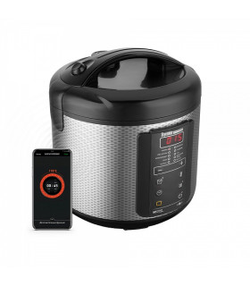 Умная мультиварка REDMOND SkyCooker RMC-M225S