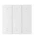 Smart Scene Wall Switch Sonoff R5 (white) eWeLink