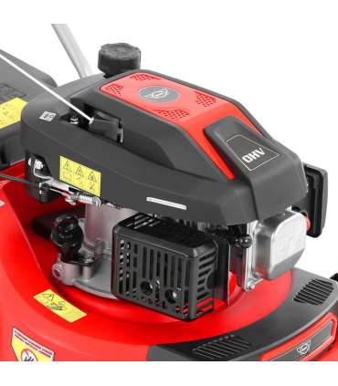 Muruniiduk HECHT 5408