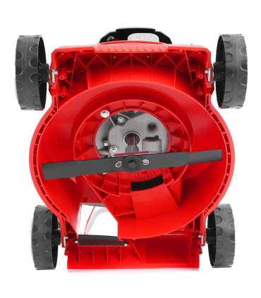 Muruniiduk HECHT 5408