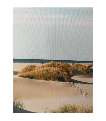 Seinapilt WALLY 30x90cm, liivaluited