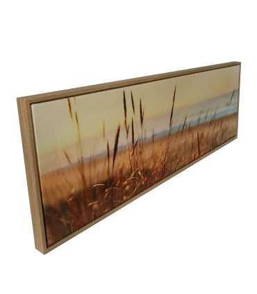 Seinapilt WALLY 30x90cm, kõrkjad