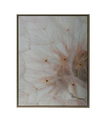 Seinapilt WALLY 45x60cm, võilill