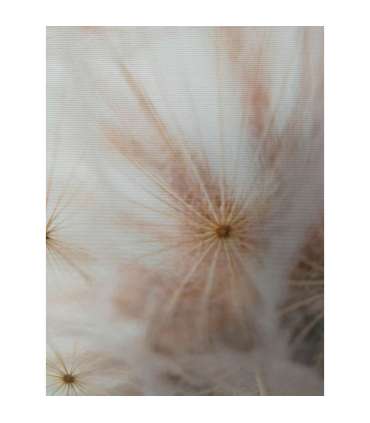 Seinapilt WALLY 45x60cm, võilill