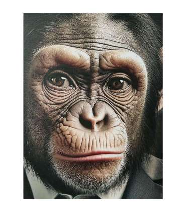 Seinapilt WALLY 50x70cm, Härra Ahv