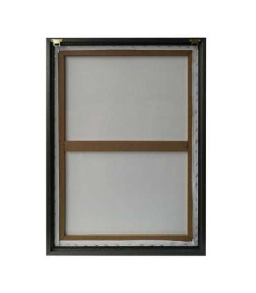 Seinapilt WALLY 50x70cm, lõvi