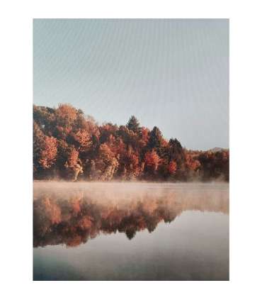 Seinapilt WALLY 60x80cm, maastik järve ääres