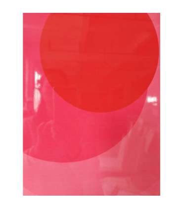 Seinapilt WALLY 60x80cm, roosa ring, akrüül